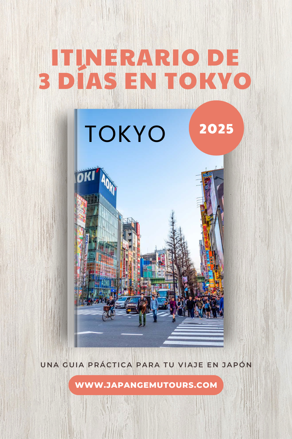 Itinerario de 3 días en tokyo (ebook)
